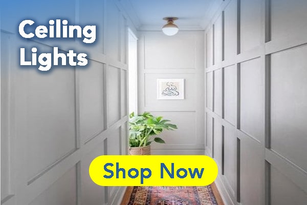 hallway ceiling lights