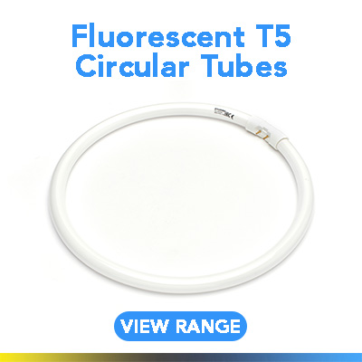 Fluorescent T5 Circular Tubes Fluorescent T5 Circular Tubes
