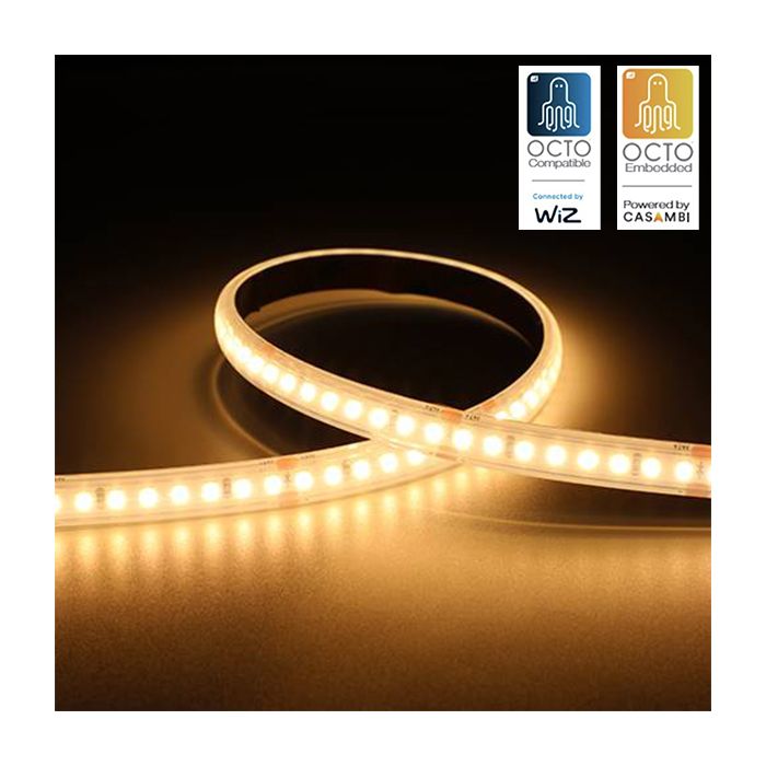 Ansell P-Cell 24V 4.8W IP65 White 2700K 5M Professional LED Strip