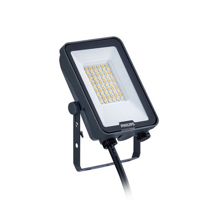 Philips Ledinaire 20W Symmetrical LED Floodlight CCT Selectable