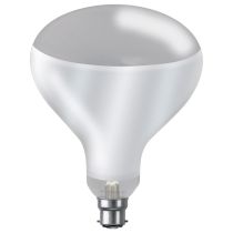 250W BC H&L Reflector