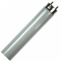 25Watt 18Inch 18" T8 Fly Killer Tube 05