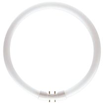 40W T5 Cool White Circular Tube