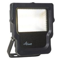 Ansell Carina LED Polycarbonate 10w Floodlight - Cool White