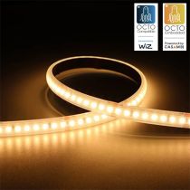 Ansell P-Cell 24V 4.8W IP65 White 2700K 5M Professional LED Strip