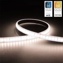 Ansell P-Cell 24V 4.8W IP65 White 4000K 5M Professional LED Strip