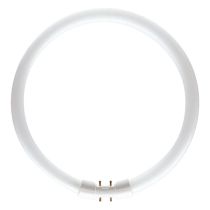 Bell 05463 40W T5 Circular Tube 4000K Cool White 2GX13
