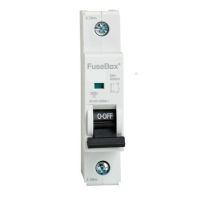 FuseBox 40A 1 Pole B Curve MCB
