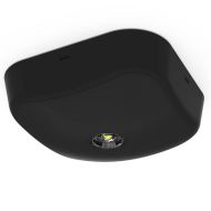 Ansell Falcon Black 2.6W LED Surface Non-Maintained Emergency Downlight